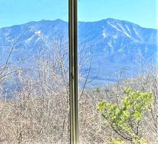 Our Place In The Smokies جاتلينبرج المظهر الخارجي الصورة